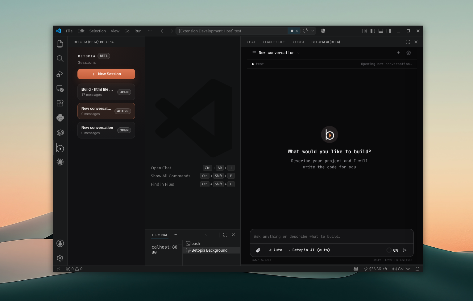 Betopia Coder VS Code Extension Interface